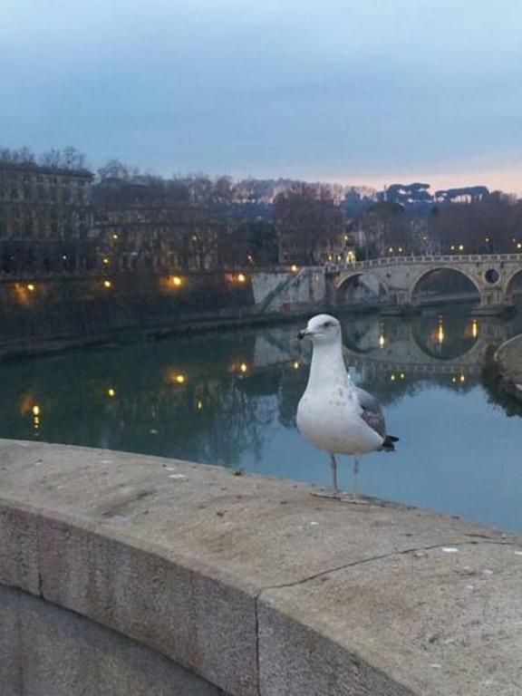 Welcome To Rome B&B Bagian luar foto